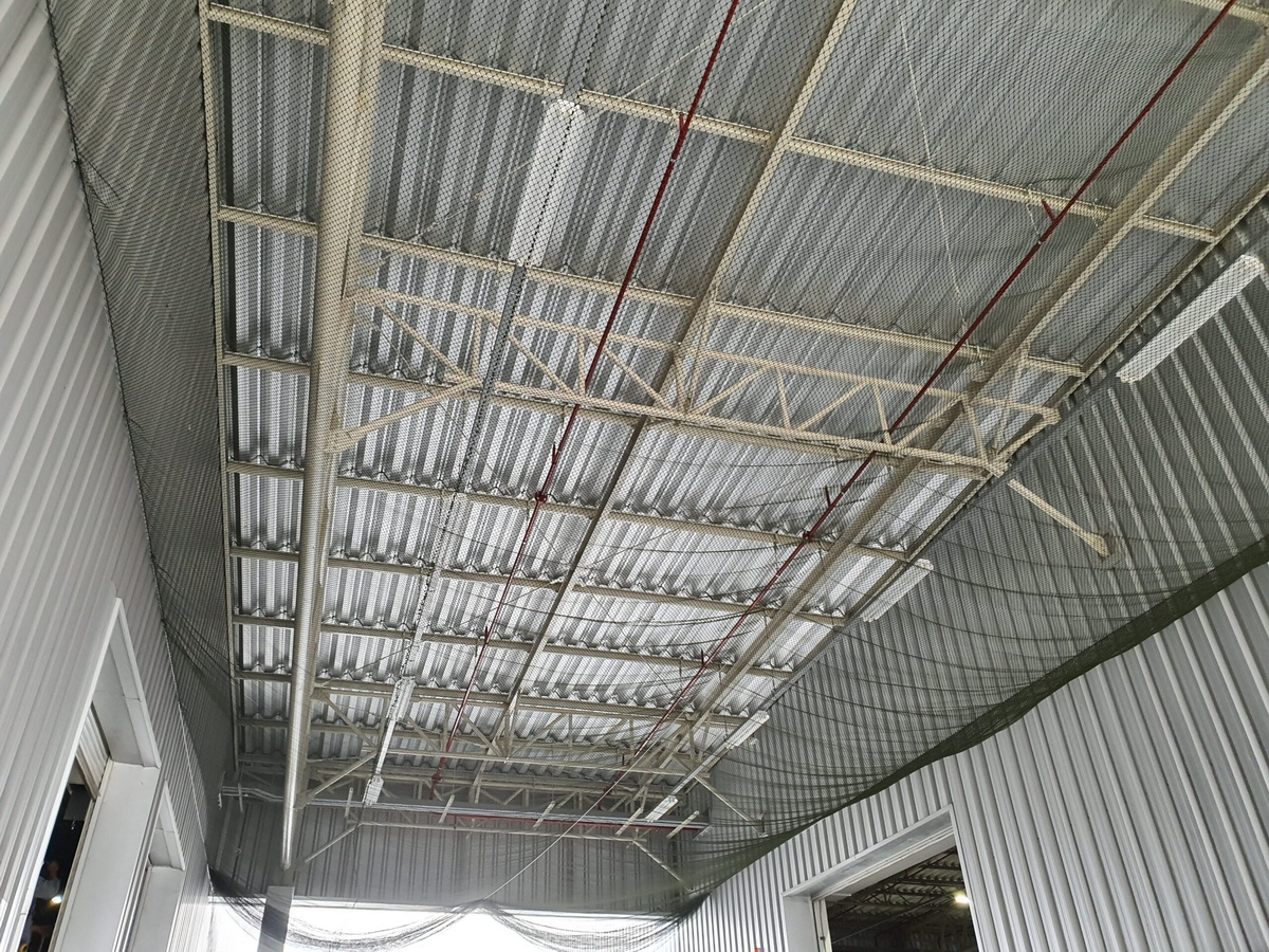 ติดตั้งตาข่ายกันนก